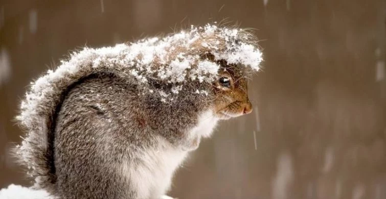 Гороскоп на 27 января 2025 года для всех знаков Зодиака