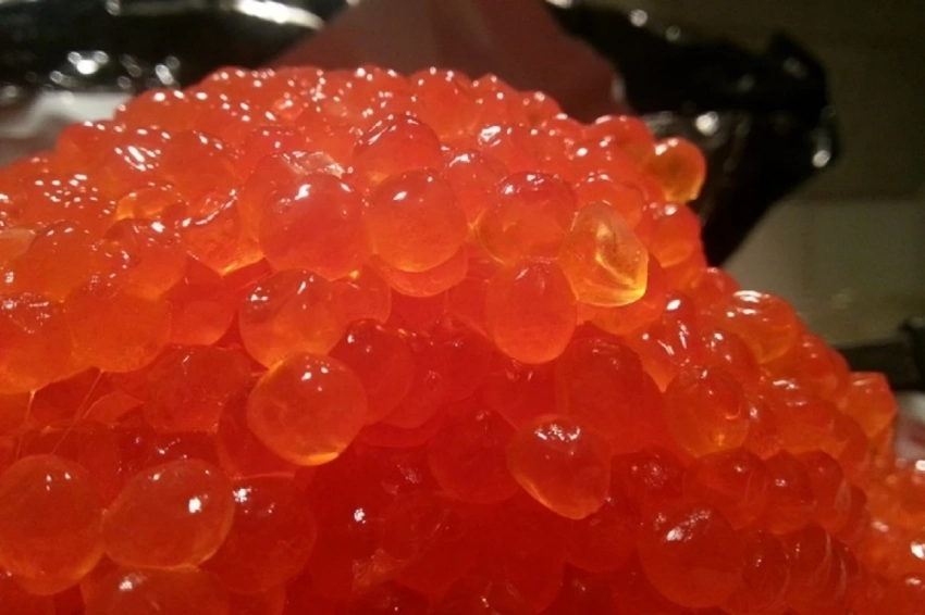 На Дальнем Востоке резко снизились отпускные цены на красную икру