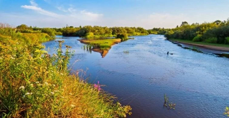 Международный день рек отмечают 14 марта 2025 года