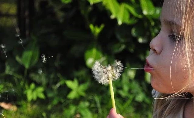 Традиции и запреты народно-христианского праздника 16 июня 2025 года